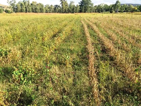 The lack of interest from the Department of Agriculture in the area makes it impossible to successfully proceed with the project in the area