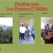 Soy on the Move