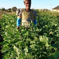 2016/2017 Research Report